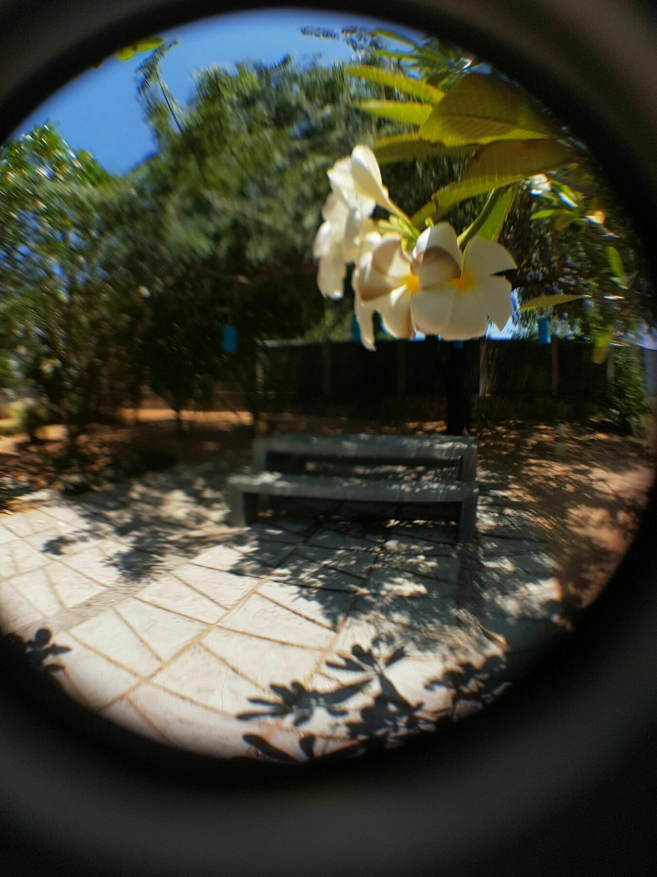 The Danish Villa Resort Arugam Bay Exterior foto